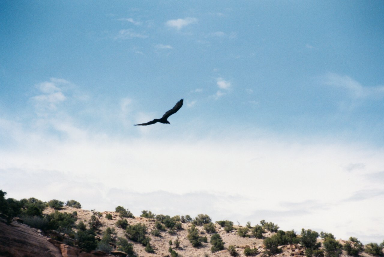 AandM passing through Utah Sept 2000 2